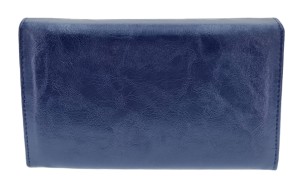 b001 blue 2.jpg