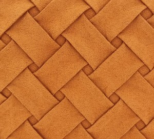 2093 camel 6.jpg