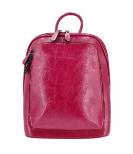 1682389 framboise 1.jpg
