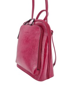 1682389 framboise 2.jpg