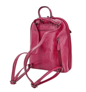 1682389 framboise 3.jpg
