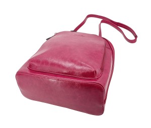 1682389 framboise 4.jpg